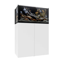 Load image into Gallery viewer, AIO Aquariums