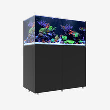 Load image into Gallery viewer, Infinia