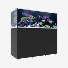 Load image into Gallery viewer, Infinia
