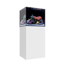 Load image into Gallery viewer, Marine EX
