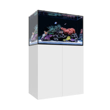 Load image into Gallery viewer, Marine EX
