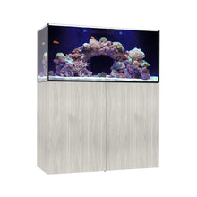 Load image into Gallery viewer, Marine x
