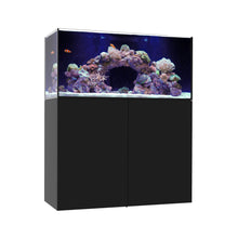 Load image into Gallery viewer, Marine x
