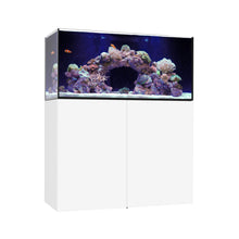 Load image into Gallery viewer, Marine x
