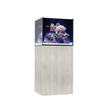 Load image into Gallery viewer, Marine x
