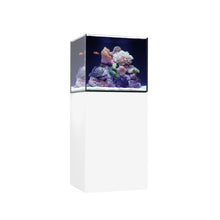 Load image into Gallery viewer, Marine x

