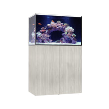 Load image into Gallery viewer, Marine x
