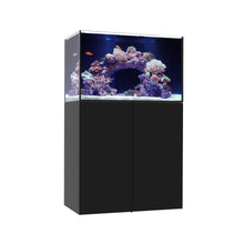 Load image into Gallery viewer, Marine x

