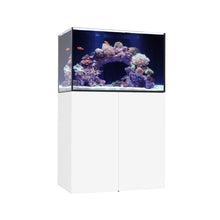 Load image into Gallery viewer, Marine x
